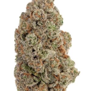 LA Ultra AAAA 🔥🔥🔥🔥