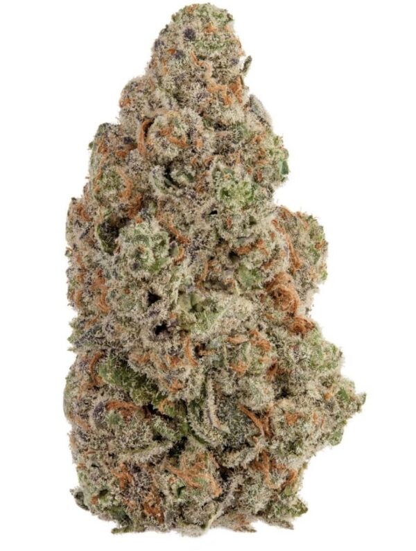 LA Ultra AAAA 🔥🔥🔥🔥