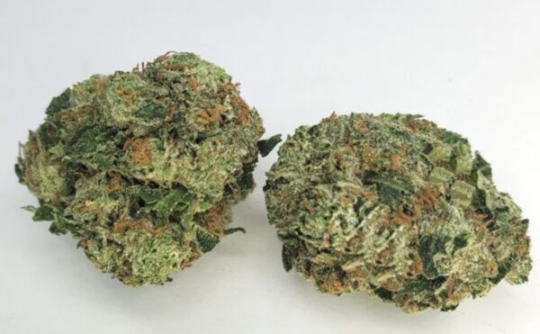 Pink Tuna AAAA 🔥🔥🔥🔥
